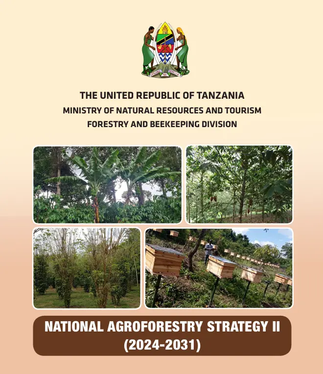 Agroforestry strategy in Tanzania